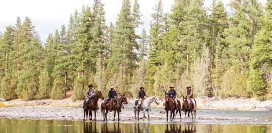 Riders on horses for a trail riding vacation in Montana
