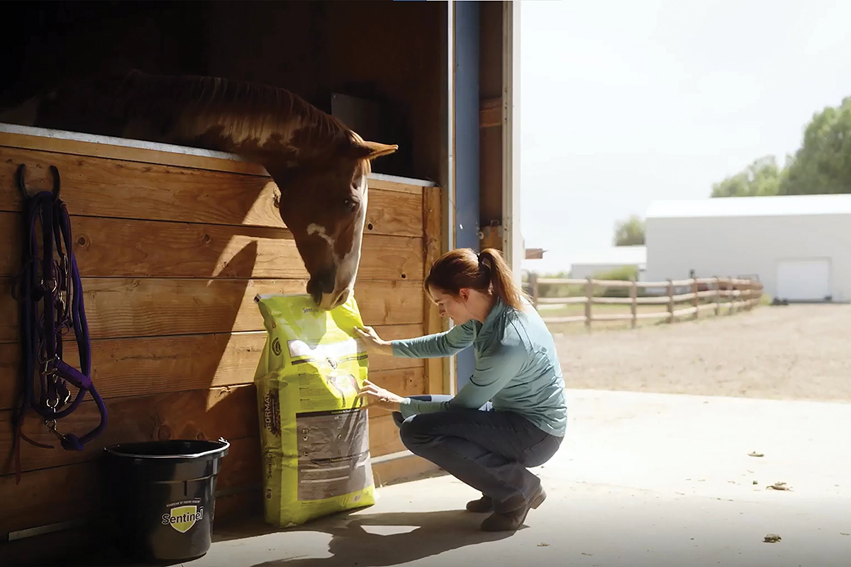 Back Read Chat How to Read Horse Feed Labels - Horse Illustrated