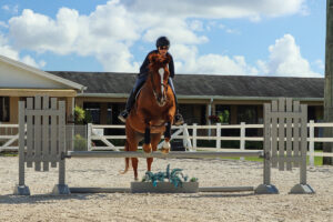 Canter Quality for Jumping