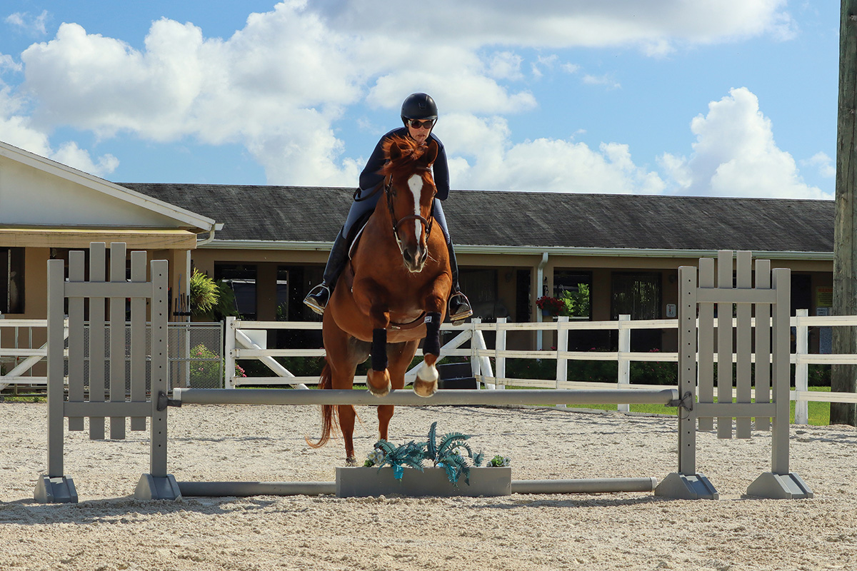 Jumping a horse after a canter to the fence