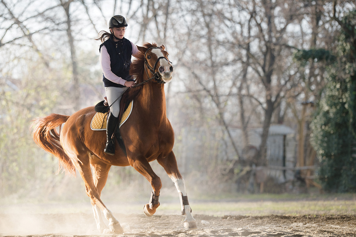 A horse acting up under saddle