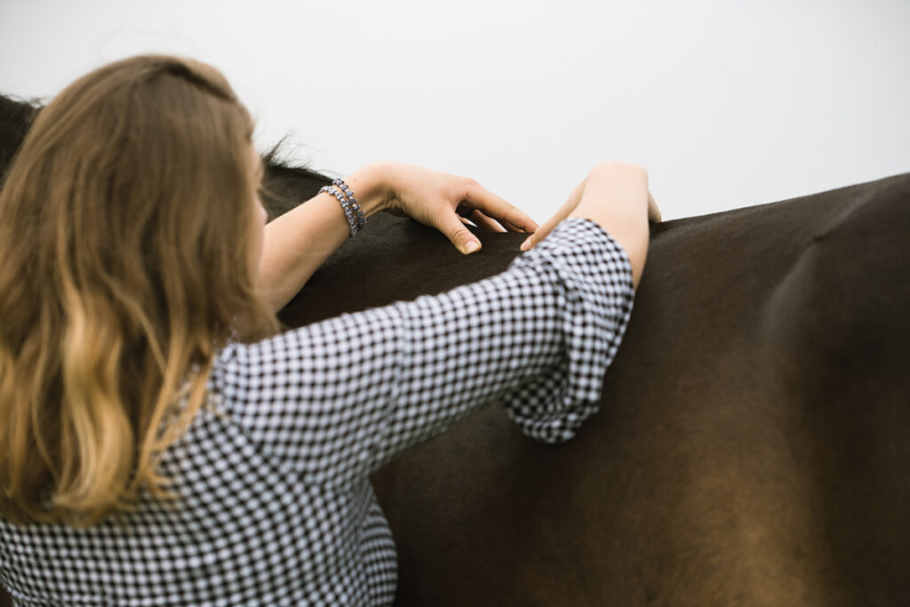 An Overview of Kissing Spines in Horses
