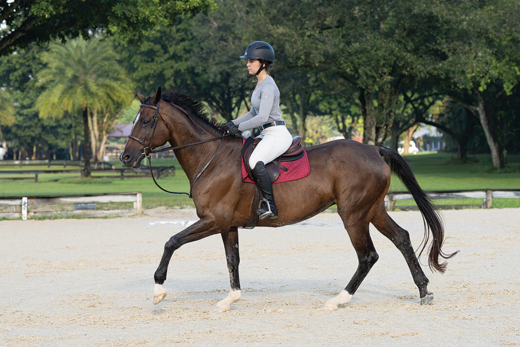 English Riding Advice and Tips from Experts at Horse Illustrated
