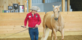 Luke Gingerich performing liberty work with a palomino horse
