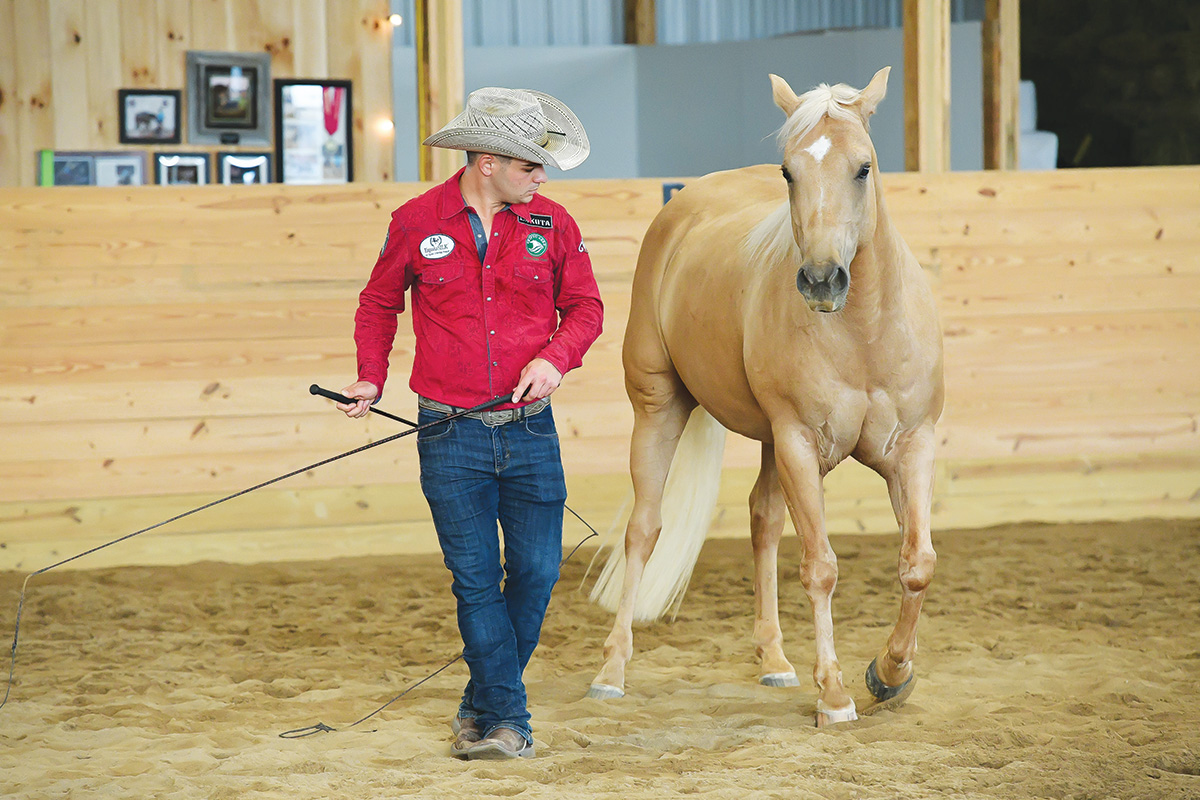 Luke Gingerich performing liberty work with a palomino horse