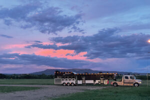 Long-Distance Horse Hauling