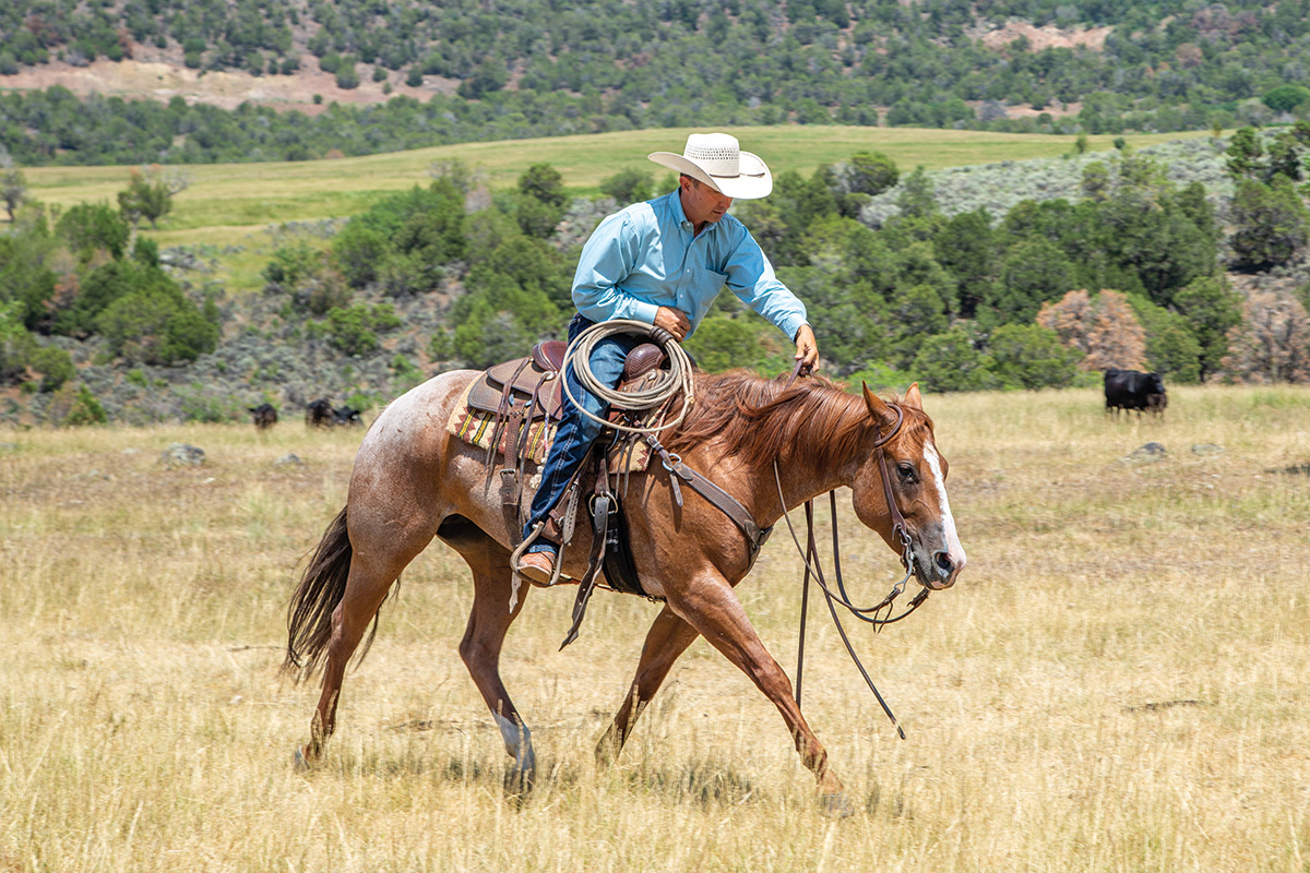 A trainer riding his horse at the long trot on a ranch