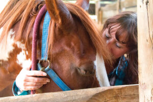 Harness Your Monkey Mind: Be More Mindfully Present Around Horses