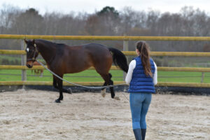 Vet Adventures: High-Altitude Rescue, Part 3