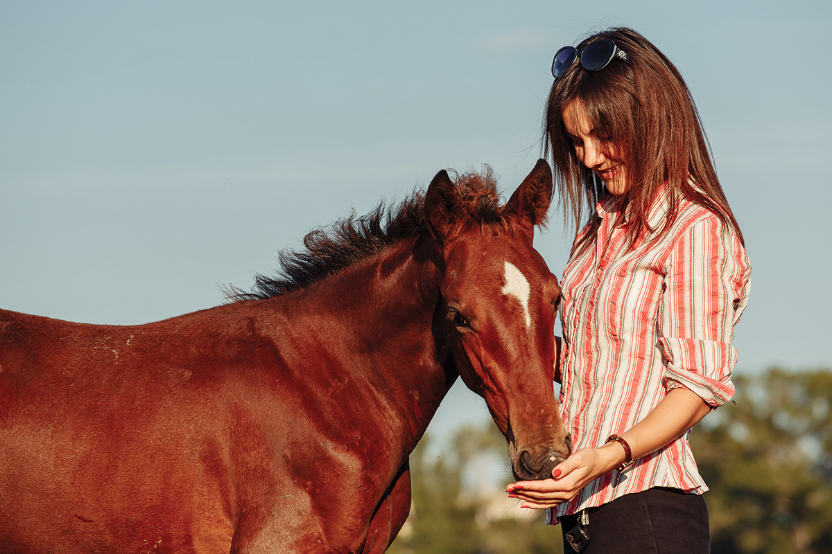 A woman with an adopted orphan foal