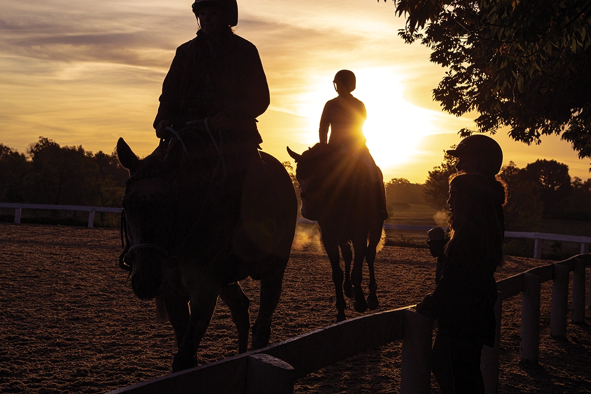 The OTTB Transition