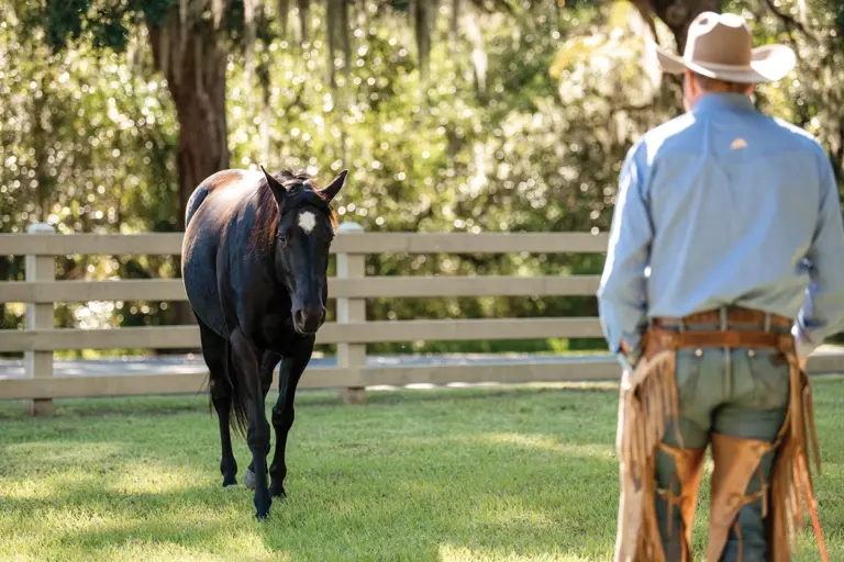Horsemanship Myth 1: “Catch your horse any way you can.”