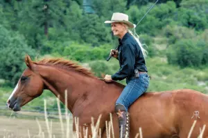 Horsemanship Myth 4: “Pull them to stop.”