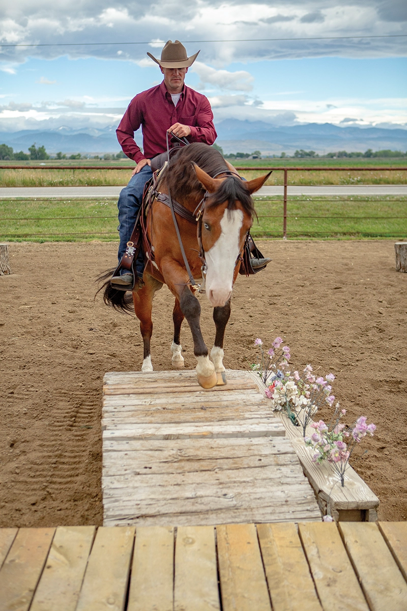 A ranch horse crosses a bridge for ranch trail.
