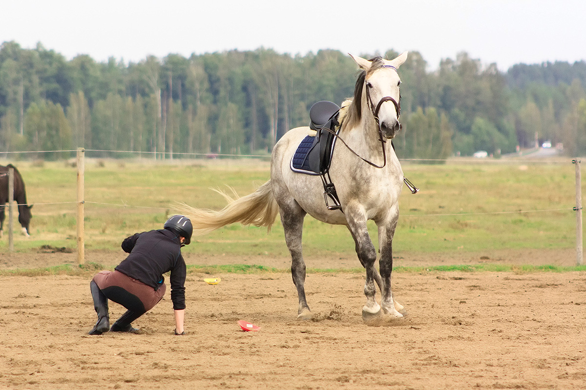 A rider falls off a horse. Falling like this can make regaining riding confidence difficult.