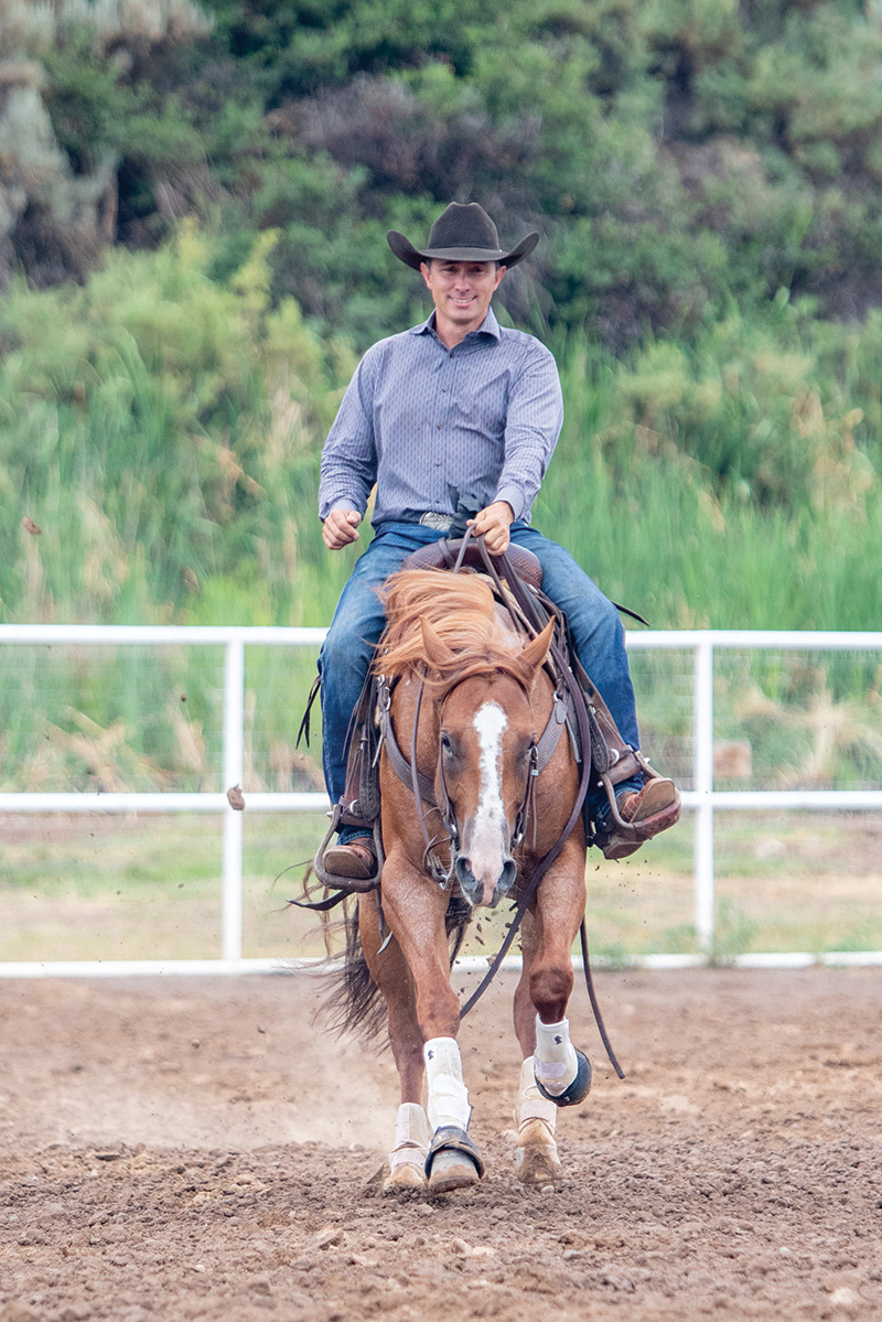 A head-on of a reining stop