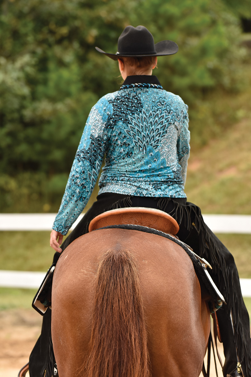 The rear view of a western pleasure class.