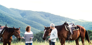 Senior riders taking a break from trail riding.