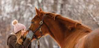 A woman kisses a horse's nose. In this article, we discuss how to find a safe landing for your horse.