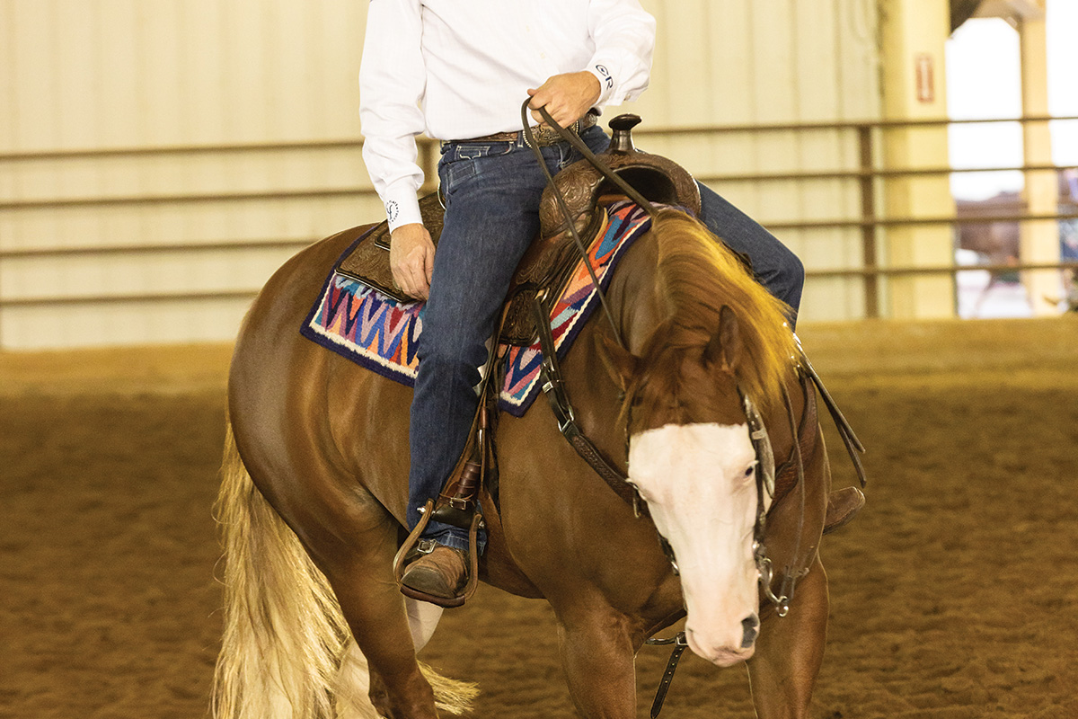 Demonstration of split reins being used while riding western