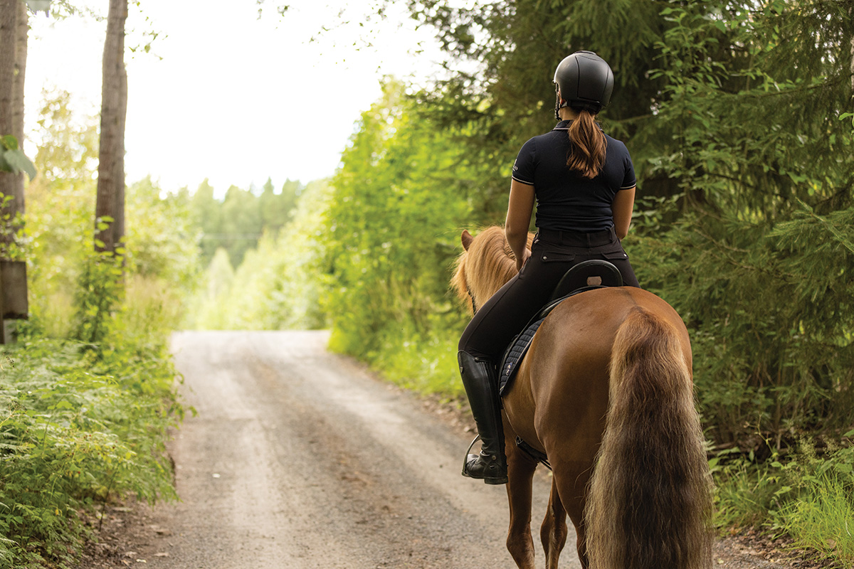 A horse and rider going for a long walk to build fitness in the spring