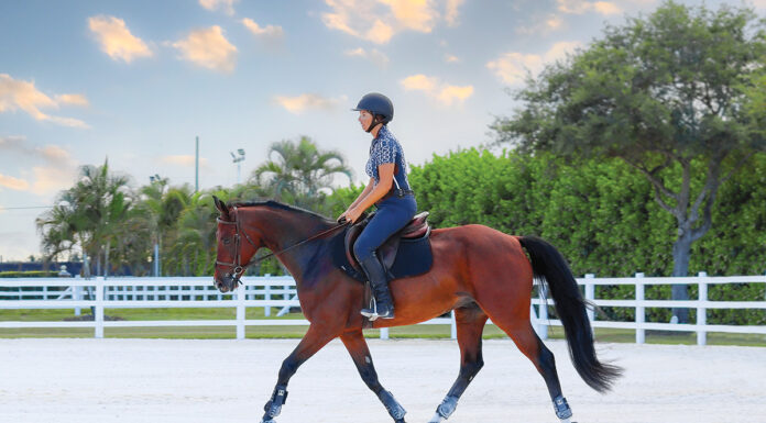 A rider lengthens her horse's stride for a targeted warmup during a training session