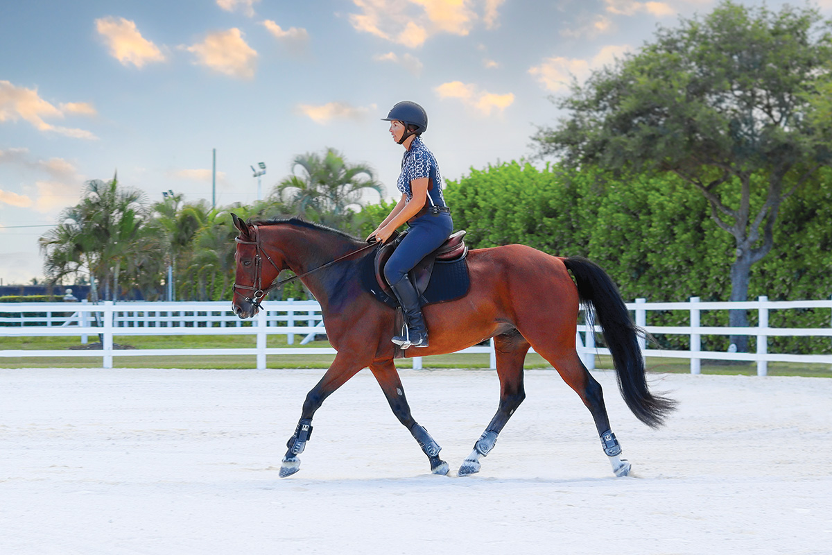 A rider lengthens her horse's stride for a targeted warmup during a training session