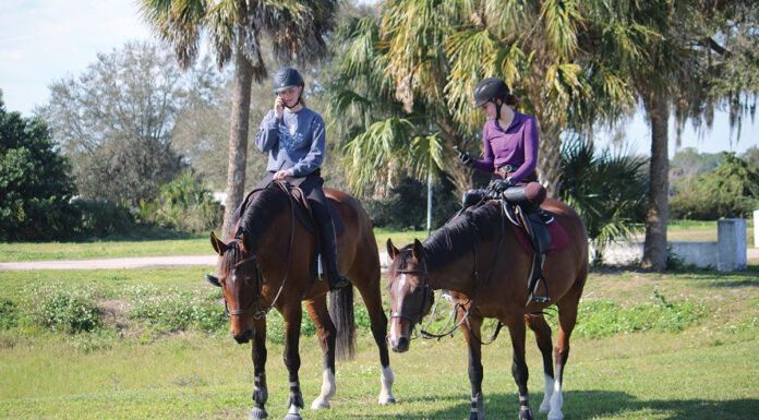 Two teen riders facing technology distractions at the barn, scrolling through their phones while riding their horses.