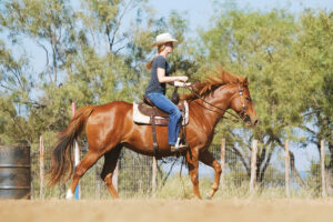 How Hot is Too Hot to Ride?