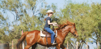 A rider riding her horse safely when it's hot.
