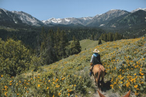 Wildlife Safety While Trail Riding