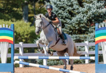 A rider jumps a gray horse