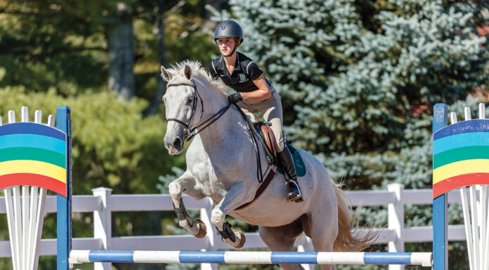 A rider jumps a gray horse