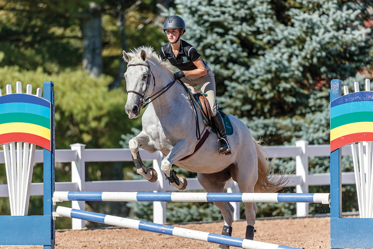 A rider jumps a gray horse