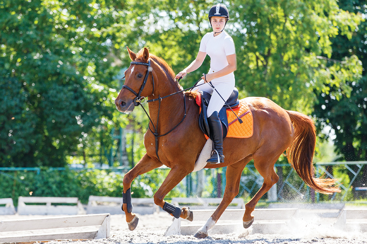 Vet Adventures: Balancing Mom Life