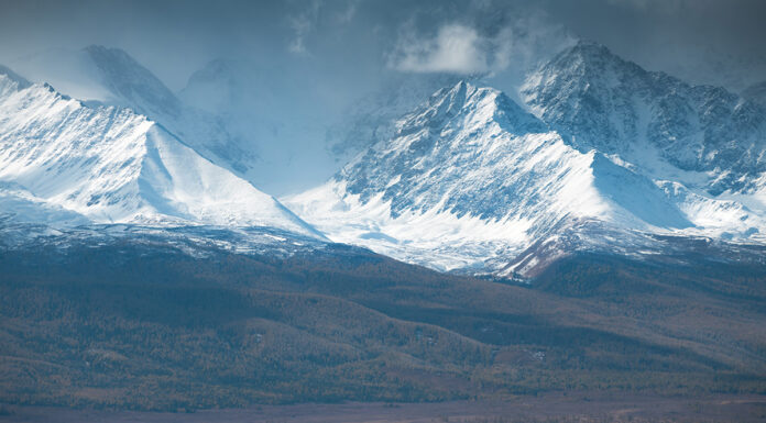 Horses on a mountain ranch. In this edition of Vet Adventures, Dr. Diehl must help with a rescue intake from a mountain ranch.