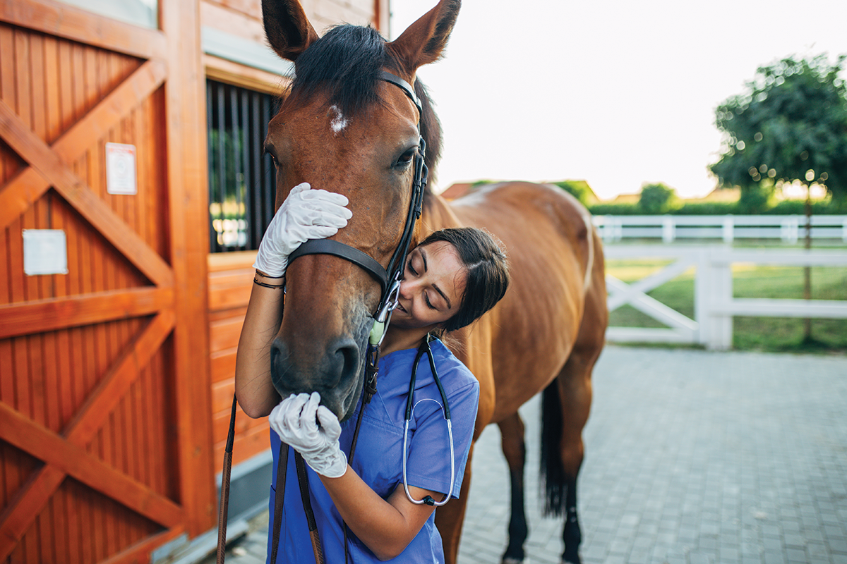 A vet hugs a horse. However, there is an equine vet shortage in the United States.