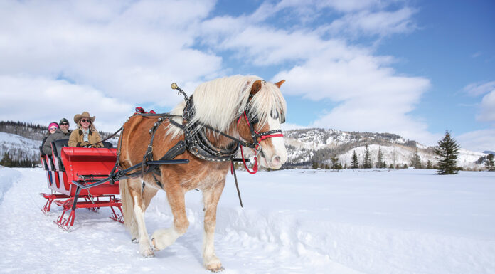 A One-Horse Open Sleigh at Vista Verde Ranch A one-horse open sleigh ride with Georgie at Vista Verde Ranch.