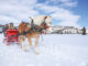 A one-horse open sleigh ride with Georgie at Vista Verde Ranch.