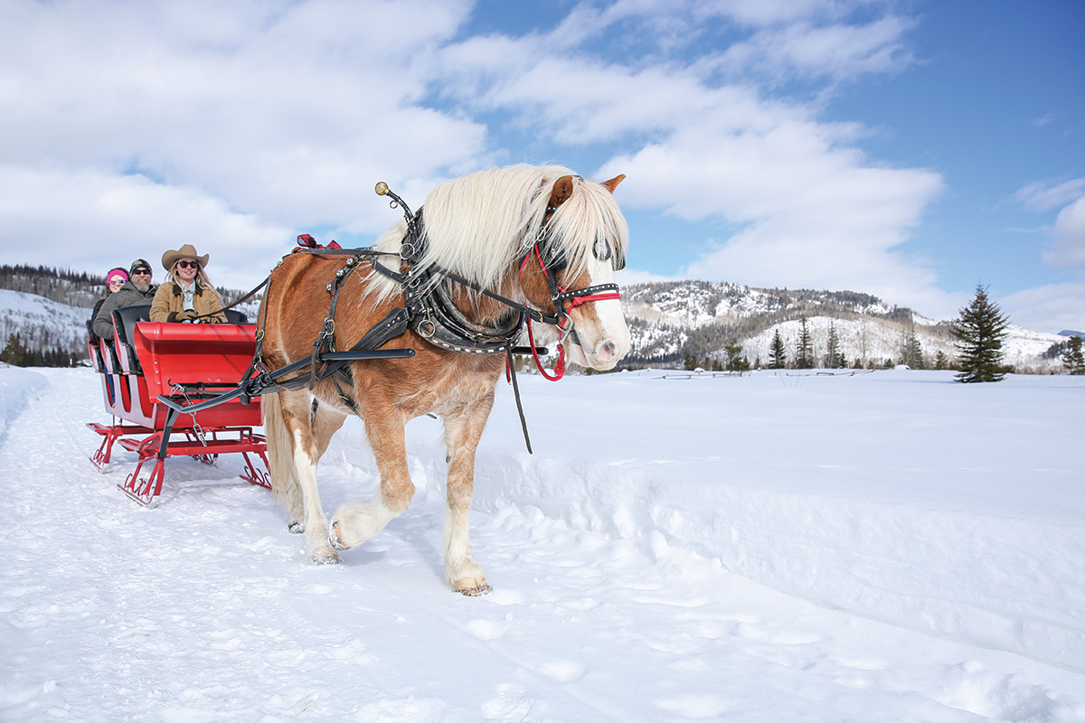 A one-horse open sleigh ride with Georgie at Vista Verde Ranch.