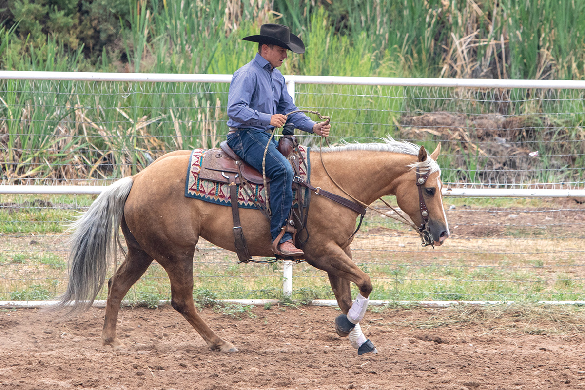 A western trainer prepares his palomino horse for a lead change