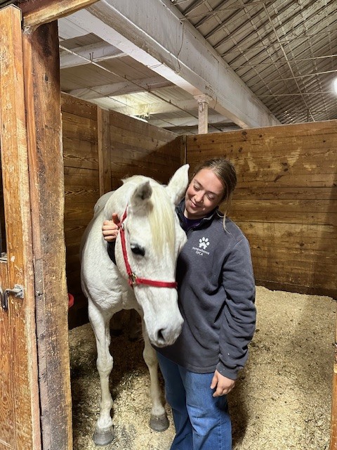 A 16-year-old Arabian named Cinder in the adoption barn.