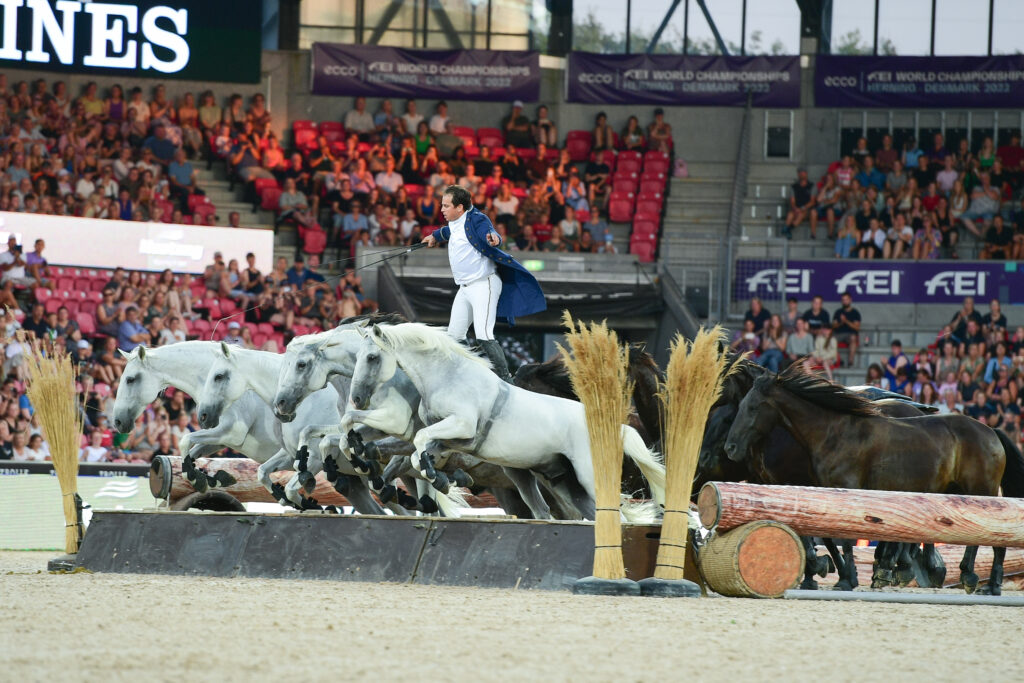 flying frenchman with his grey horse