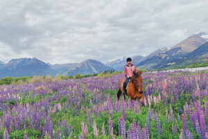 Top 10 International Horseback Riding Destinations