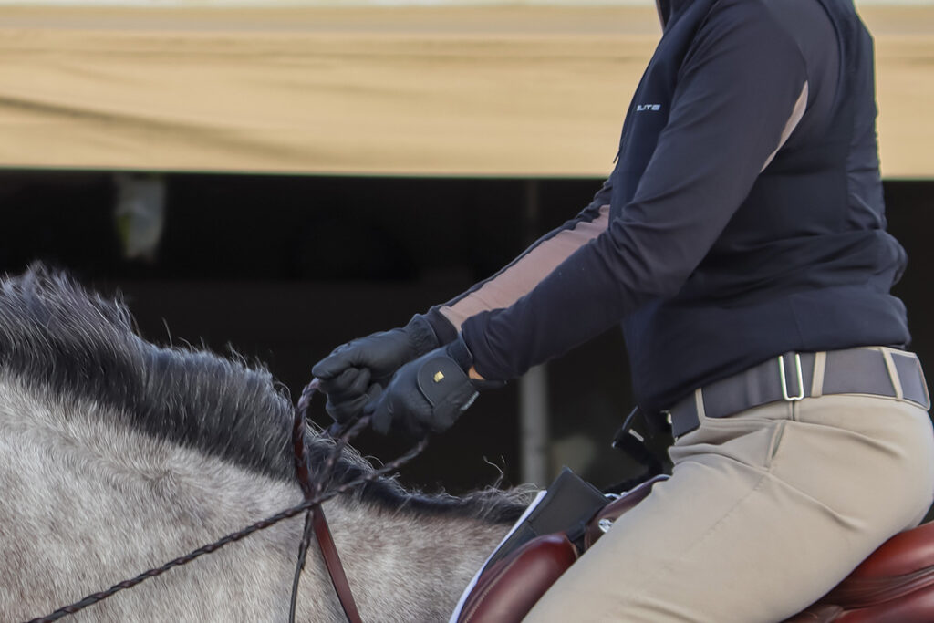Rein Rite Riding Aids: Seat, Leg and Hand - Horse Illustrated