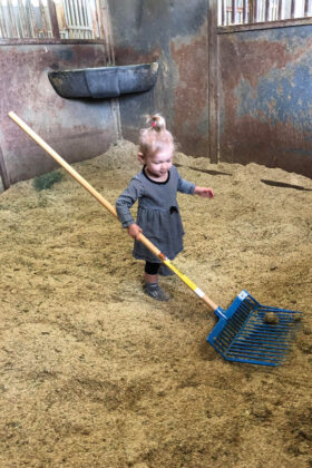 A baby helps with barn chores