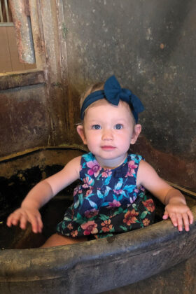 A little girl sitting in a feed tub