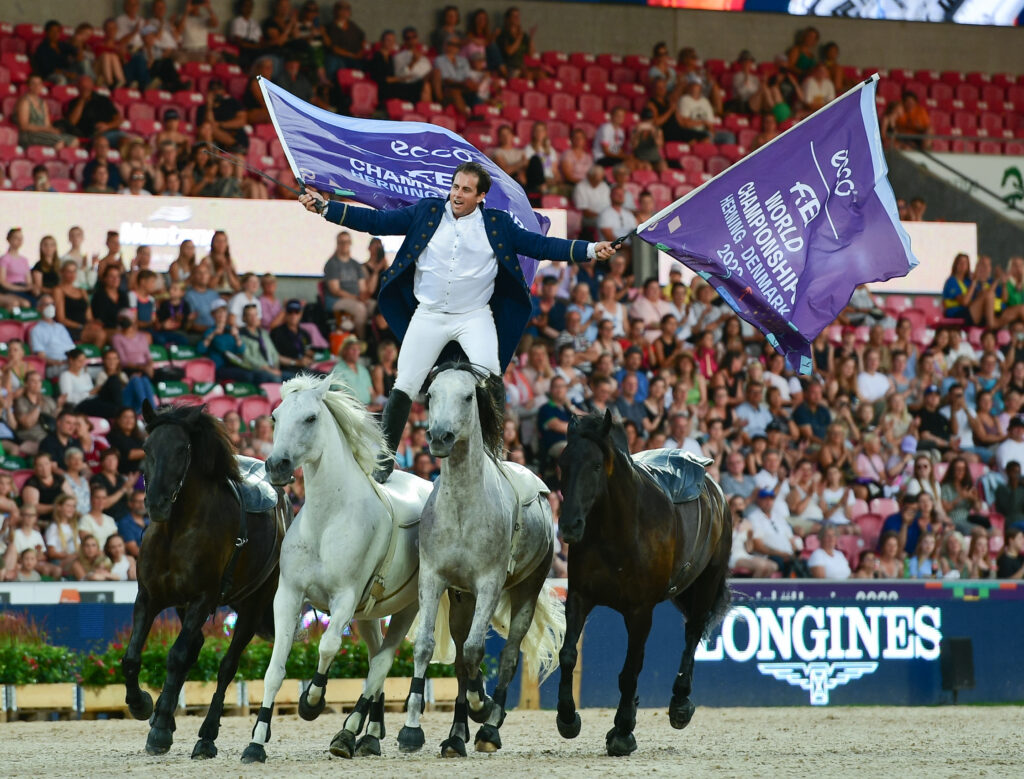 FEI world championships flags