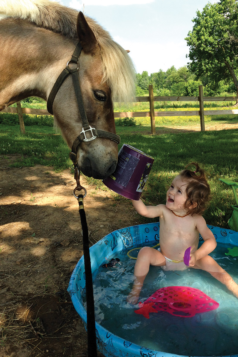 A baby in a pool interacts with a pony