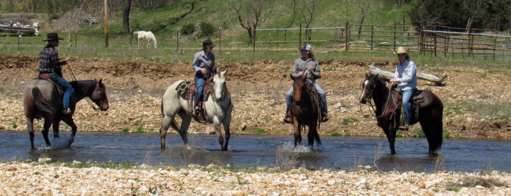 horses during drought